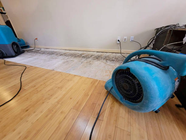 Professional Water Extraction technician working in Cotton, MN